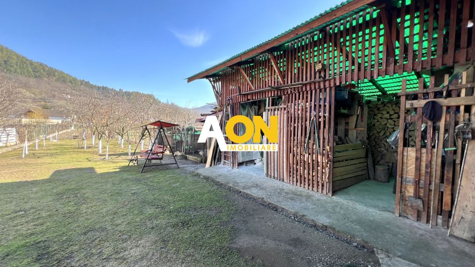 Casa de vanzare pretabila 2 familii, garaj, livada, comuna Pianu - Poză 33
