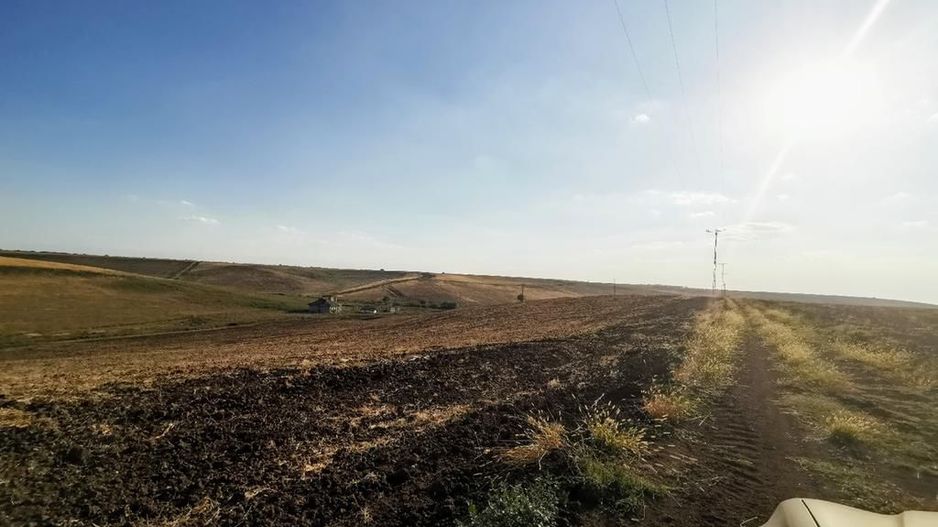 Ferma 415 ha comasat Timisoara NORD - Poză 7