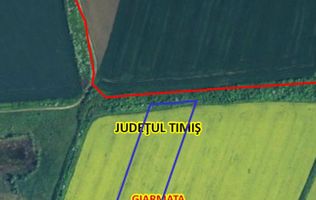Teren arabil 20550 mp in Giarmata aproape autostrada A1