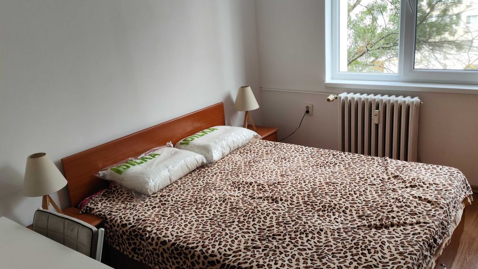 De închiriat: apartament 2 camere–Păcii -metrou 5 min - pet friendly - Poză 5