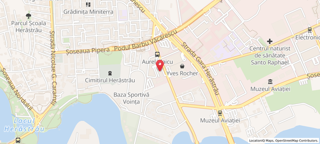 Locație Arbore Real Estate