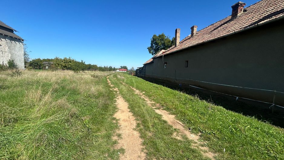 Teren intravilan, 5700mp - Teius - Poză 3