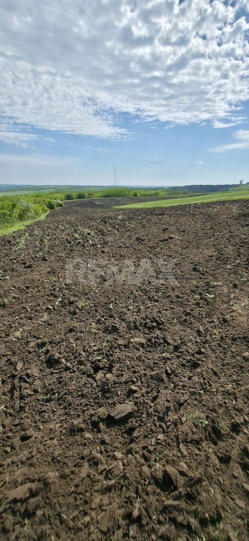 De vânzare – Teren agricol 40 ari, Cimișlia - Poză 1