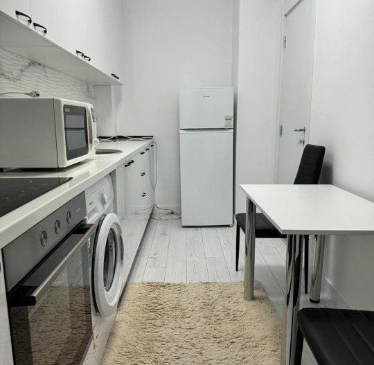 Garsoniera- Teodor Pallady - Poză 3