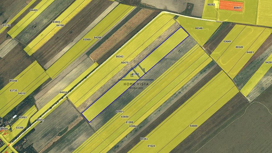 Teren agricol extravilan – Rătești, Argeș - Poză 1