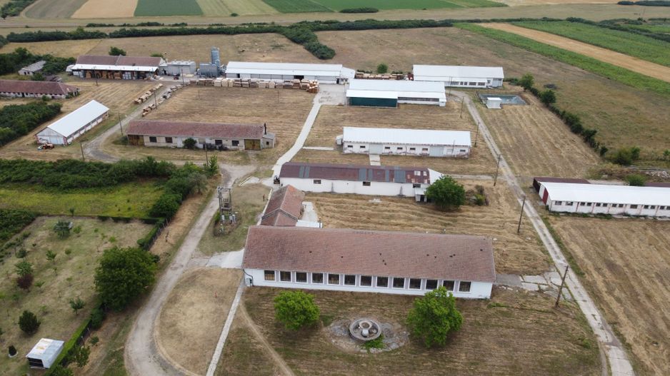 Proprietate industriala la 30 km exterior sud Timisoara - Poză 6