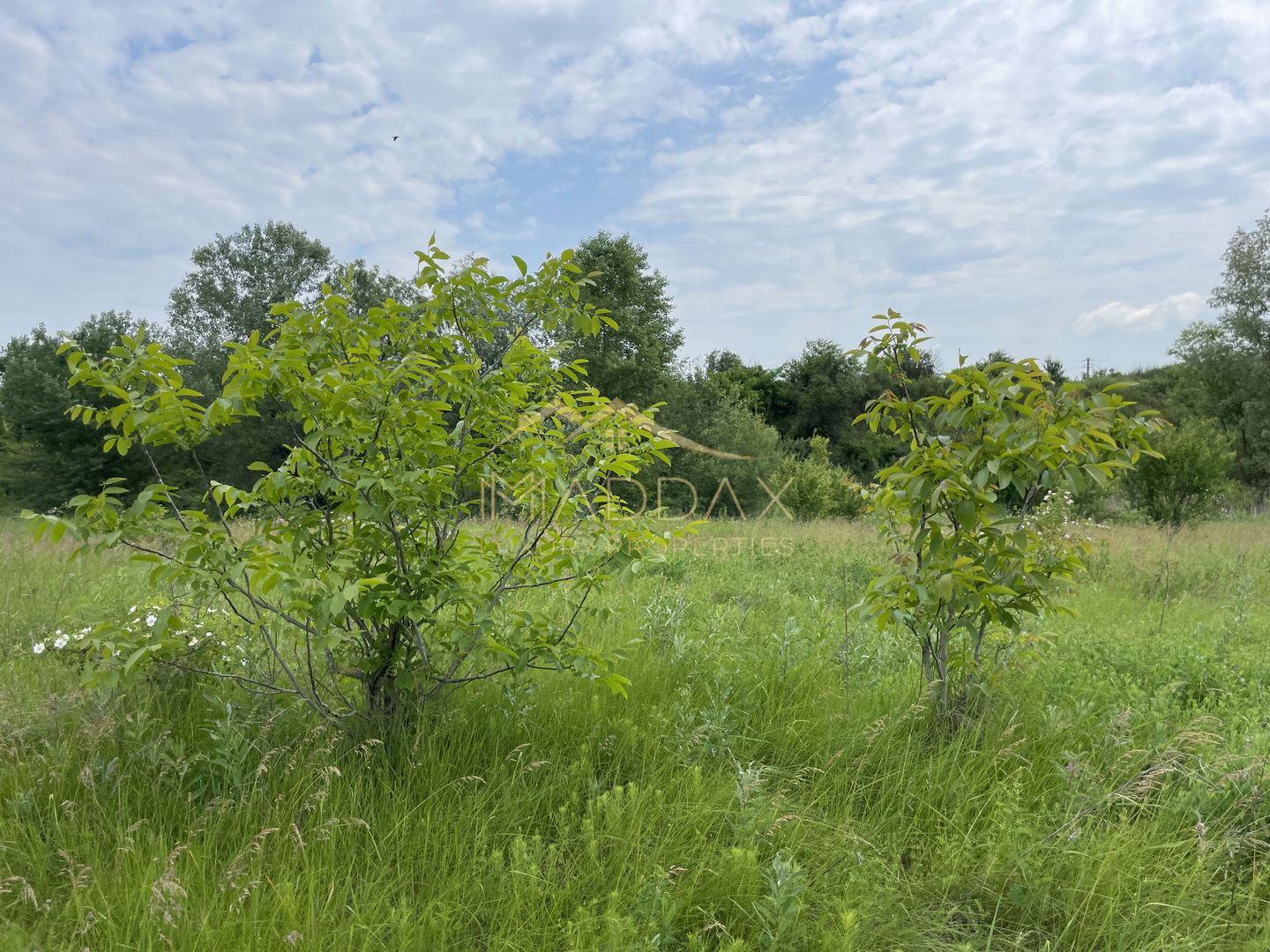 Teren intravilan***1439 mp***Cretesti-Vidra-Ilfov - Poză 2