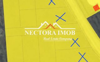 NECTORA IMOB - Loturi teren cu PUZ, utilitati si acces asfaltat, Paleu - Poză 1