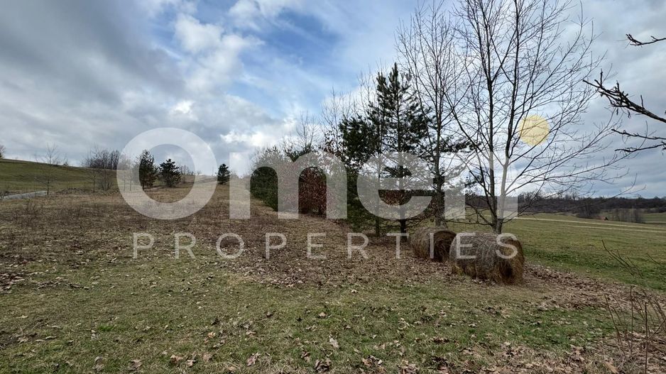 Teren de vânzare | 3423 mp | Copalnic | la drum principal - Poză 2