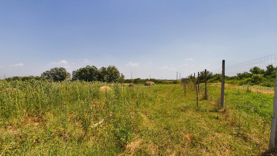 TEREN EXTRAVILAN  CU SOLAR IN GAI - Poză 17