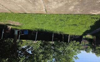 Magazin mixt de vânzare, sat Budai, oraș Podu Iloaiei - Poză 3