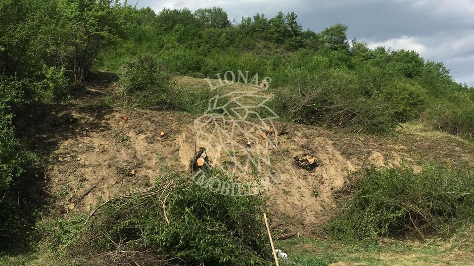 Teren intravilan 700 mp-ideal casa-Dealul Jelnei - Poză 3