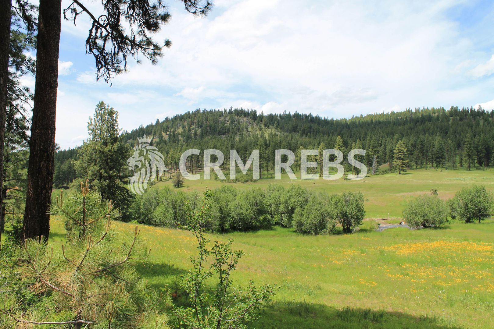 Teren 1,000mp Soseaua Pipera - Poză 2