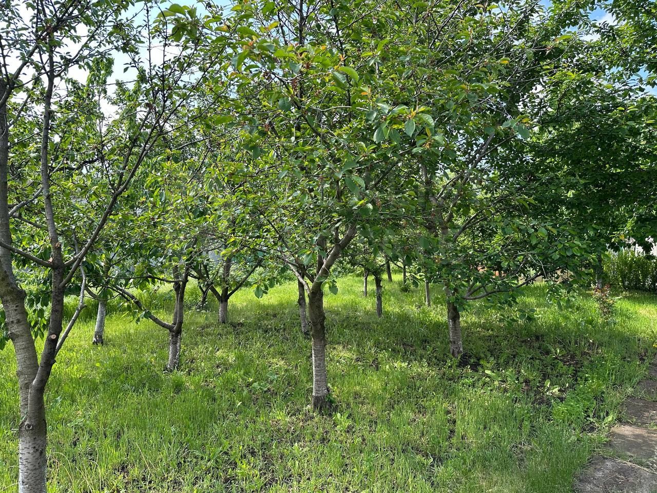 Vânzare, casă,115 mp + 18 ari, sat Corlăteni, Rîșcani - Poză 20