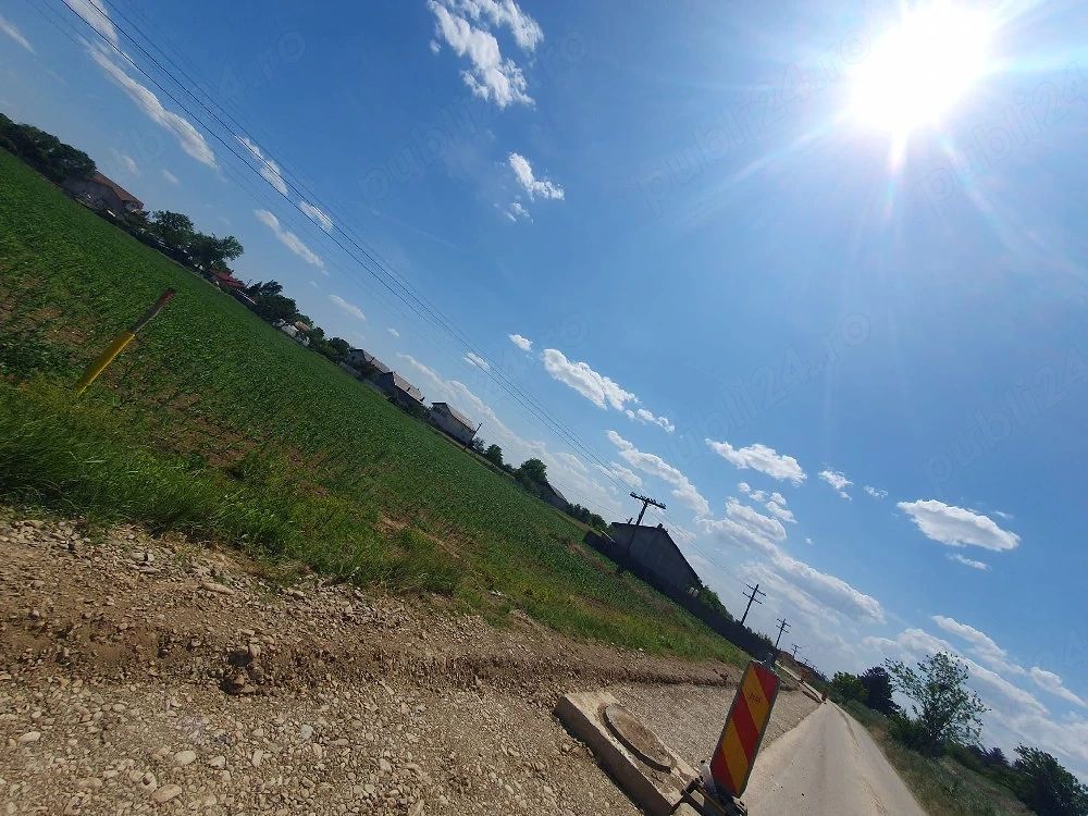 Teren intravilan 1.000 mp | Moara Vlăsiei | Strada Berzei - Poză 4