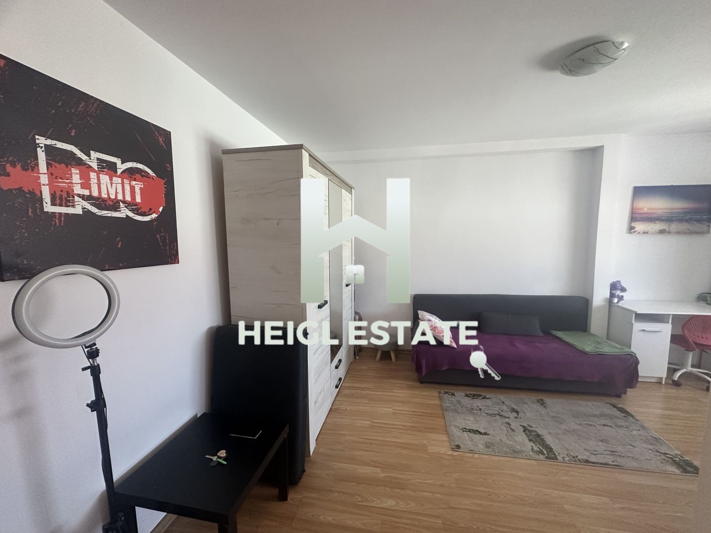 Apartament cu 1 camera in zona Lipovei - Poză 6
