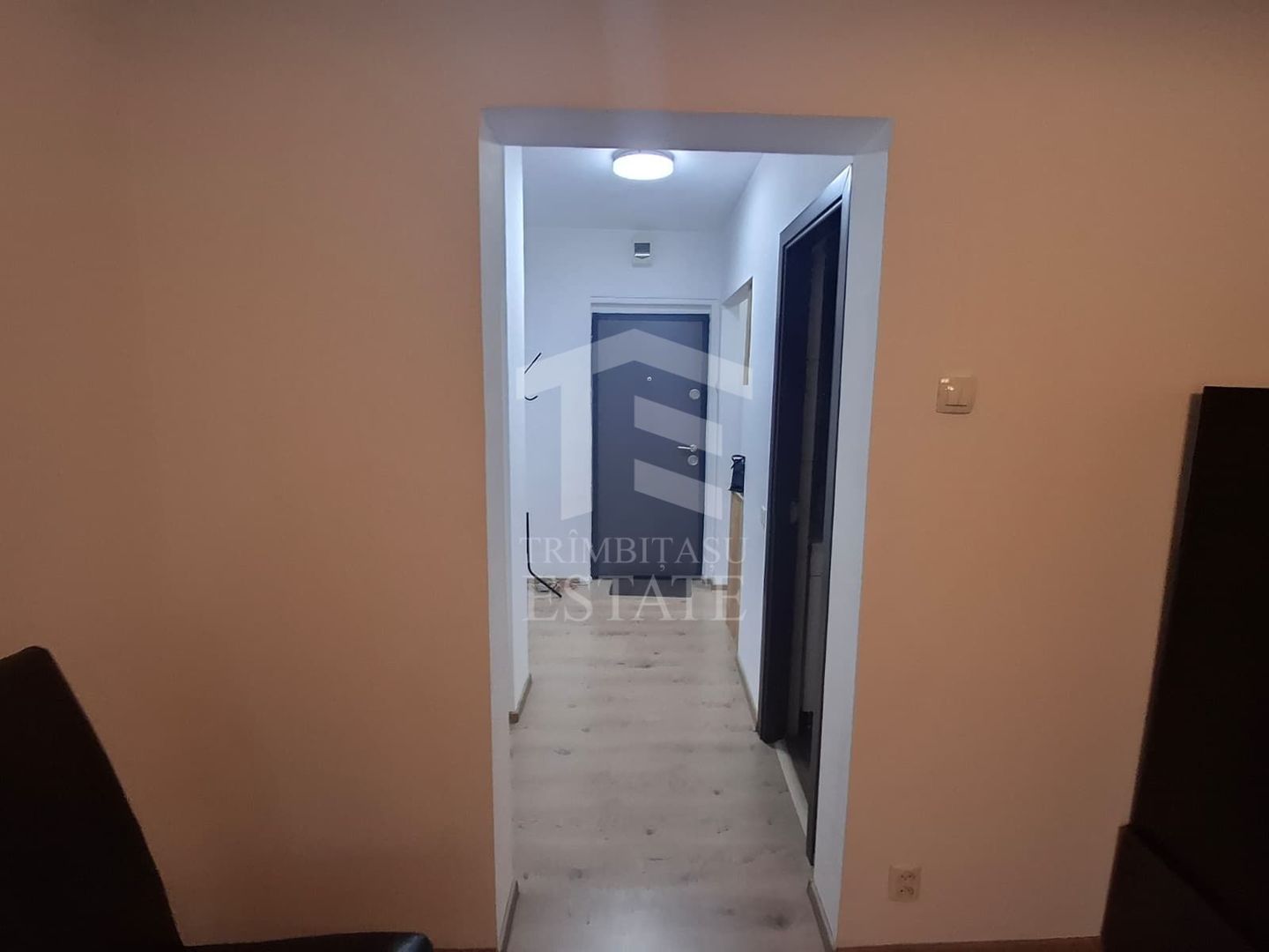 Titan - Costin Georgian | Garsoniera - Poză 3