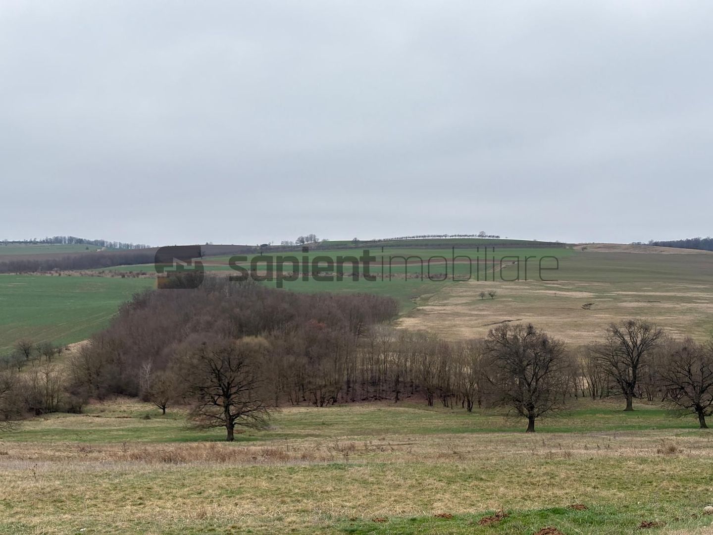 Teren agricol - Poză 4