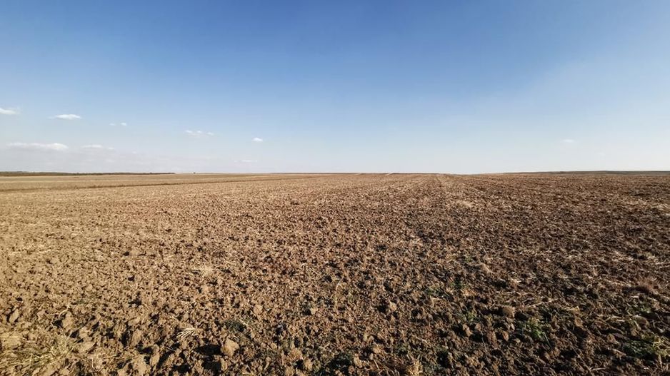 Ferma 415 ha comasat Timisoara NORD - Poză 12