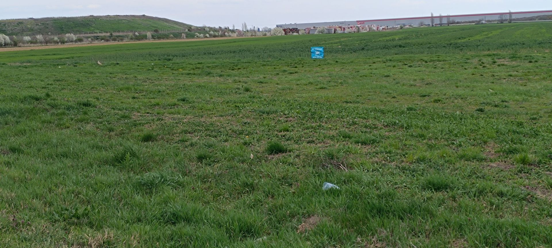 Teren intravilan 35.000 mp – Șag - Poză 6