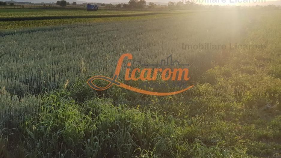 Teren Stupini Calea Feldioarei 4600 mp,21 euro/mp, front la asfalt - Poză 3