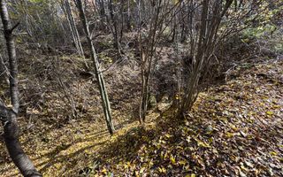 TEREN INTRAVILAN 13167 MP BUGHEA DE SUS ARGES - Poză 26