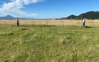 Teren parcelabil de 5000mp in Rasnov, Glajerie - Poză 1