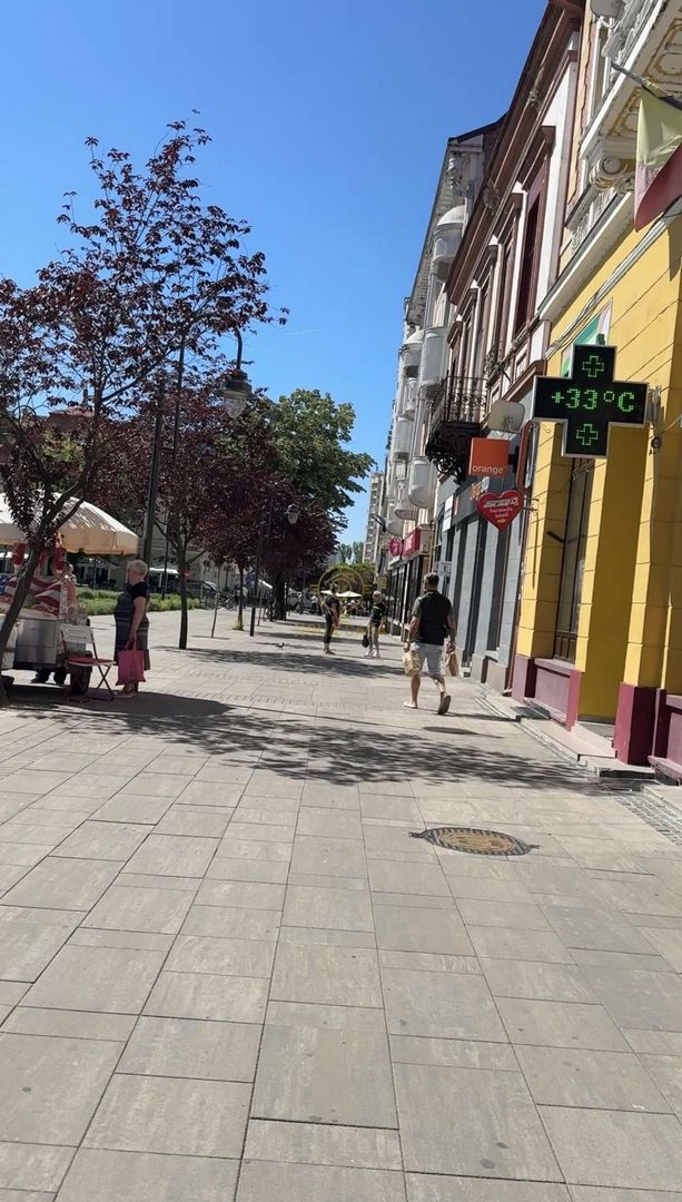 CHIRIE ULTRACENTRALA IN SATU MARE 230 EURO/LUNA - Poză 3
