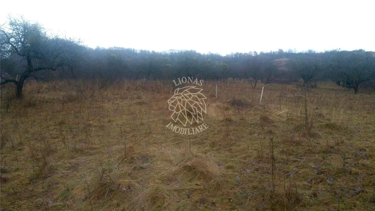 Teren 1300 mp limita cu intravilanul-ideal investitie/cabana-Unirea - Poză 2