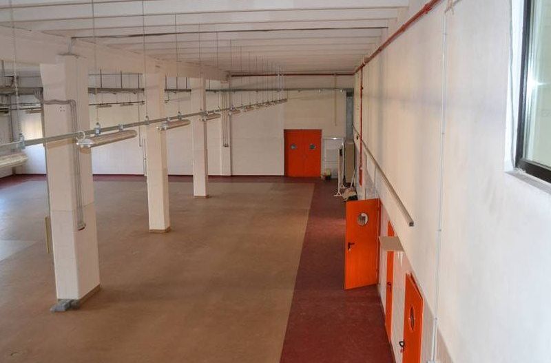 Hala de vanzare in zona Torontalului - Poză 8