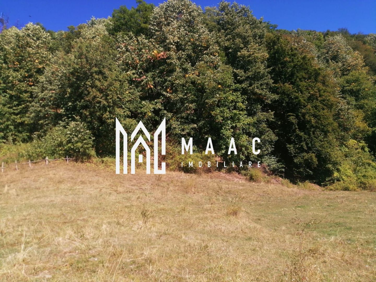 Teren Extravilan 20.000Mp I Stoenești -Vâlcea I Apă Curentă și Pădure - Poză 9