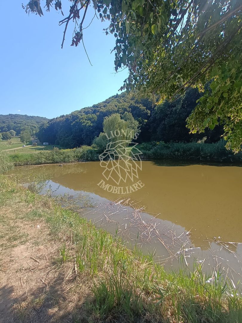 Teren 900 mp cu cota Lac-ideal pescuit, agrement, cabana- Saratel - Poză 2