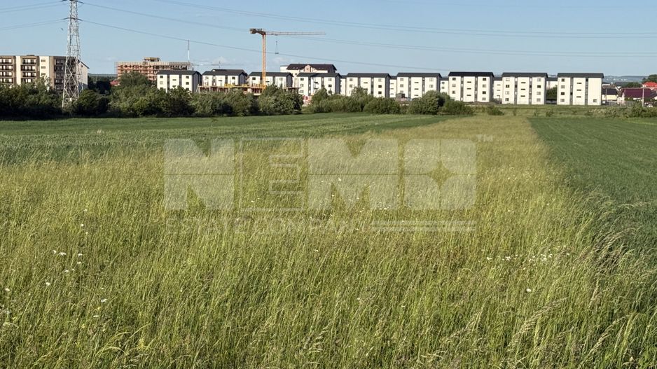 Teren extravilan de vânzare în zona Osoi – 2.650 mp | Front 10 m - Poză 2