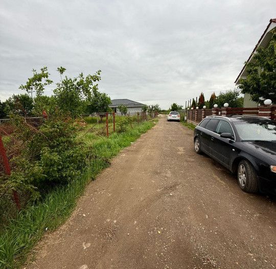 Teren Intravilan Padurea Noroieni - Poză 9
