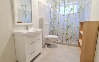 Casa de inchiriat 4 camere semimobilata cartier Izvor - Poză 6