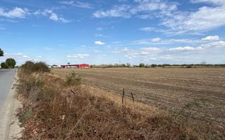 TEREN INTRAVILAN 4.750 MP | BORȘ | OPORTUNITATE DE INVESTIȚIE - Poză 1