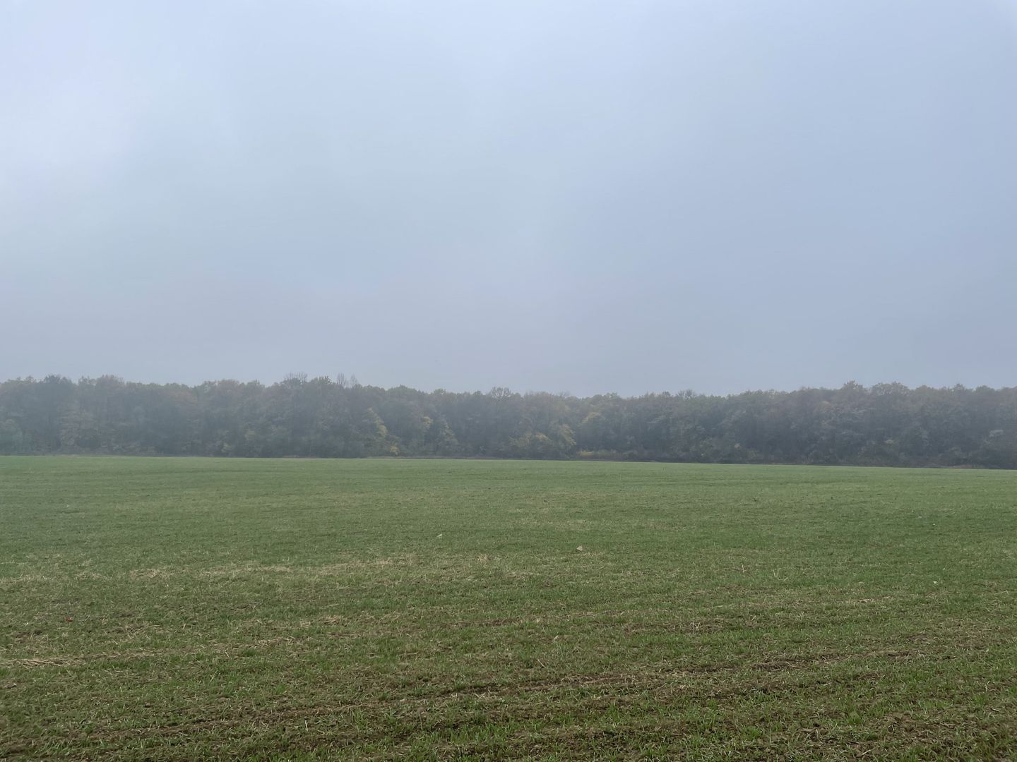 9400 mp | Ideal pentru investitie | Tunari | Deschidere la padure - Poză 8