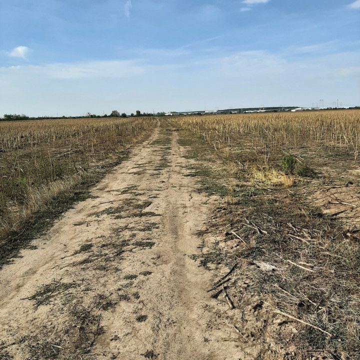 Teren, zona industriala, in Domnesti. Tarlaua 7, depozitele Logistics Park, A1 - Poză 2