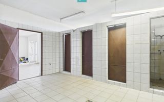 Hale 1800 mp fiecare – acces autostradă, Teiu, HD - Poză 12