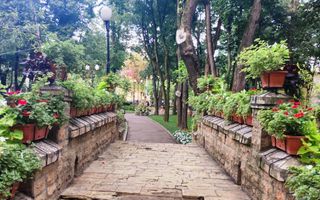 Apartament 1 camera Copou - Liceul Negruzzi - Poză 13