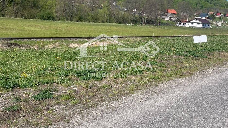Teren intravilan 8900 mp-Sacadat-Sovata - Poză 3