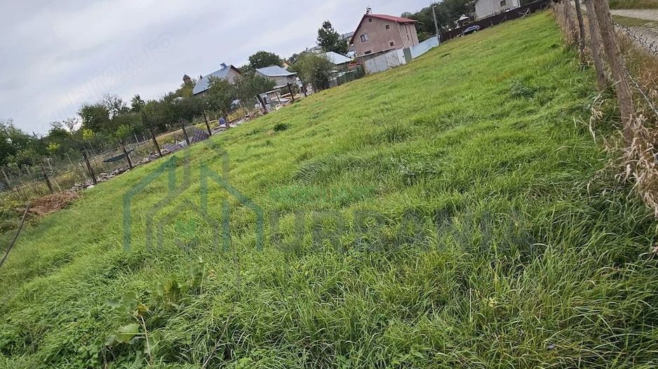 Teren intravilan de vânzare în Dumbrava, Ciurea, Iași - Poză 4