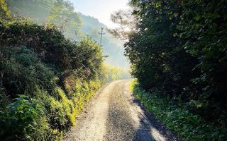 Casă la gri + teren 16.418 mp | Potențial dezvoltare turistică | PUZ - Poză 51