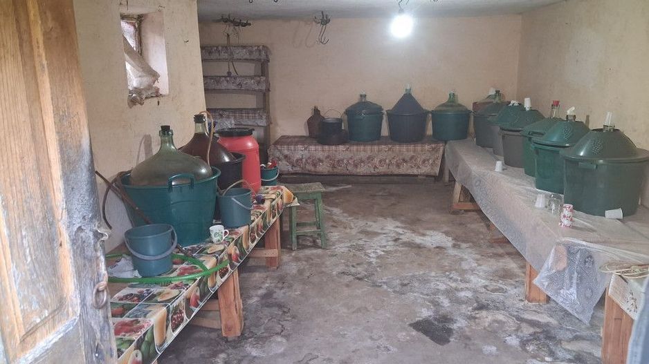 Casă tradițională cu teren generos – Borosteni, Peștișani, jud. Gorj - Poză 11