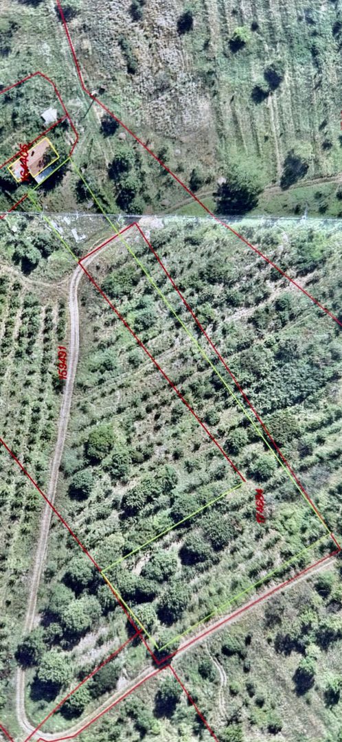 Teren intravilan, suprafață 3464 mp. Preț 31 euro mp. - Poză 2