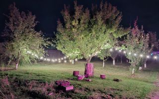 Casa de inchiriat | Snagov | acces direct la lac | ponton propriu - Poză 15