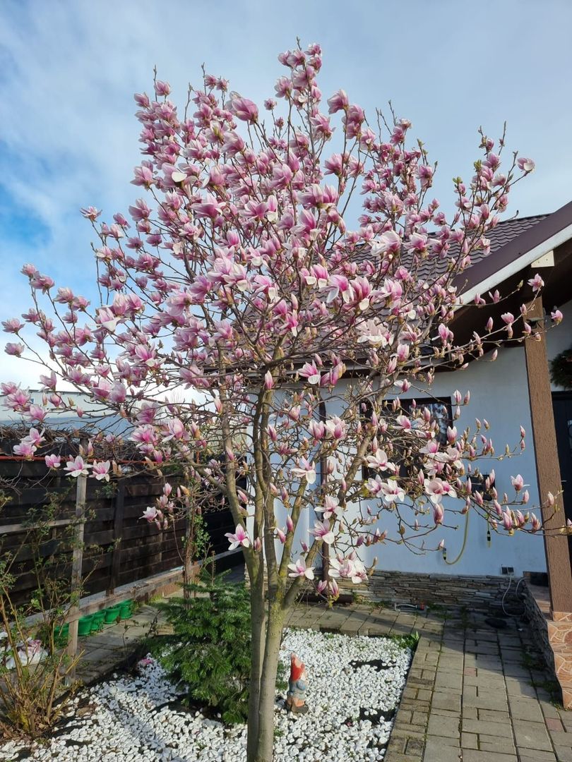 Oportunitate investiție - Casă de vânzare, gata închiriată pe termen lung - Poză 9