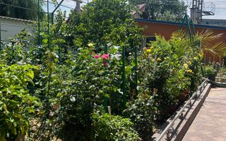 Vila S+P+1+M Lapus, str Paunitei - Poză 32