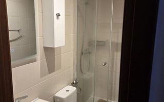 Ap 3 camere Primaverii vedere Herastrau - Poză 13