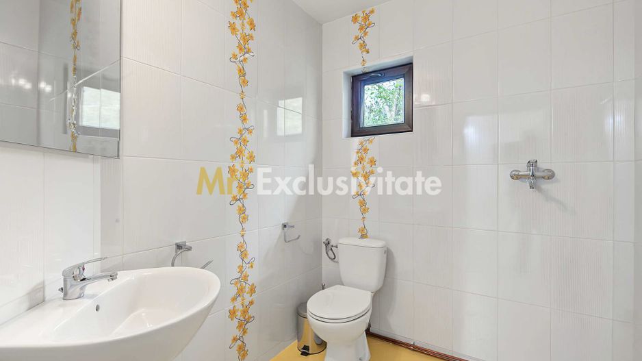 Casa individuala + teren 2.014 mp + livada Mioveni -Colibasi - Poză 7
